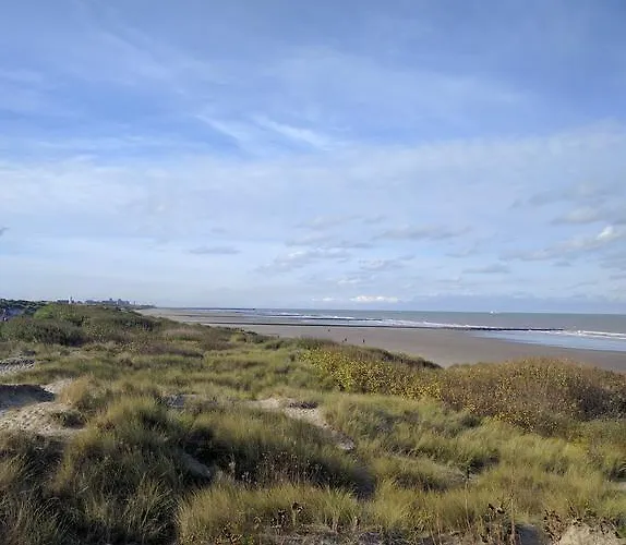 Bed & Breakfast Vanloo 2*